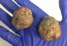 poisoned meatballs for dogs prevention